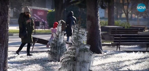 Заради задействана поливна система: Центърът на Русе се превърна в ледена приказка