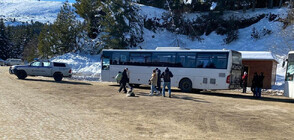 Микробуси ще превозват деца и родители, които искат да карат ски на Витоша