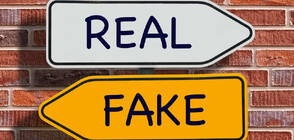 Изкуствен интелект, дезинформация и безопасност: Предизвикателствата пред изборите в държавите