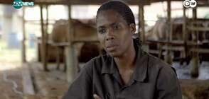 Как една жена стана успешен земеделец в Уганда (ВИДЕО)
