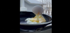 Вижте как яйце замръзва за секунди на студа в Канада (ВИДЕО)