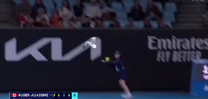 Чайка прекъсна мач от Australian Open (ВИДЕО)