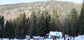 Съдът призна България за собственик на 66 царски имота в Рила