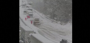 Огромни преспи блокираха Япония, създадоха транспортен хаос (ВИДЕО)