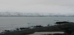 Българските полярници в Антарктида намериха останки от паднал самолет
