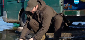 „Хвани-пусни”: Съюзът на ловците и риболовците в България с нова идея