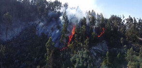КАДРИ ОТ ДРОН: Мащабни горски пожари в Колумбия (ВИДЕО)