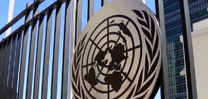 Агенцията на ООН за палестинските бежанци призова за подновяване на финансирането й