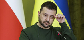 За първи път: Зеленски оповести публично доходите си