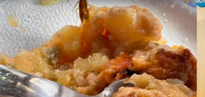 Затвориха детска кухня в Монтана заради случая с хлебарка в храната