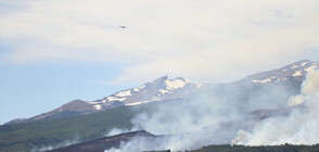 Пожари бушуват в национален парк в Аржентина (ВИДЕО)