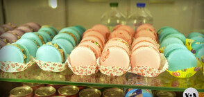 „Загубихме дома си, но не се предадохме”: Украинско семейство развива успешен бизнес в Донбас