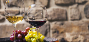 Празникът на виното събира любители в Благоевградско (ВИДЕО)