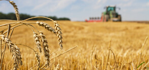 „Файненшъл таймс”: ЕС готви мита срещу вноса на зърно от Русия и Беларус