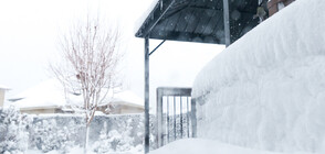 Мощна снежна буря парализира Източна Канада