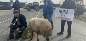 Протестът на земеделците и блокадите на ключови места продължават (ВИДЕО+СНИМКИ)