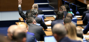 Парламентът създаде временна комисия за дейността на групата около Нотариуса