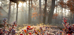 Какво време ни очаква в следващите дни