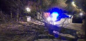 Силният вятър нанесе щети в Димитровград