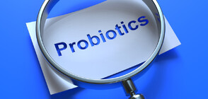 Пробиотиците - видове, колко време и как се приемат
