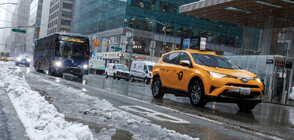 Снежна буря предизвика транспортен хаос в САЩ (ВИДЕО)
