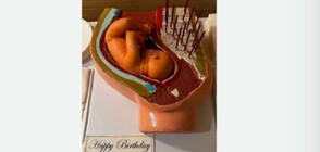 Артистът Деймиън Хърст подари на бременната си жена торта във формата на бебе в корем