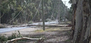 Екстремното време в Австралия уби един човек и остави половин милион домакинства без ток (ВИДЕО)