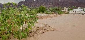 Порои в Оман предизвикаха наводнения в цялата страна (ВИДЕО)