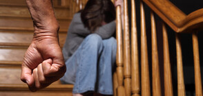 Организации призоваха властта да ускори прилагането на Закона за защита от домашното насилие