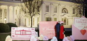 Джил Байдън украси Белия дом за Свети Валентин (ВИДЕО)