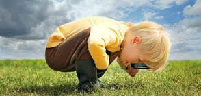 Колкото грахово зърно: Учени откриха най-малкото гръбначно животно в света (СНИМКИ)