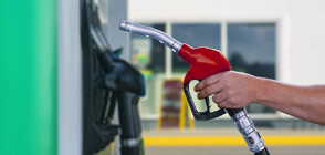 Ръст на цените на горивата: Основната причина е в котировките на суровия петрол