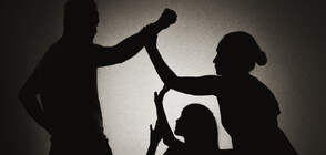 Националният съвет за превенция и защита от домашното насилие заседава за първи път
