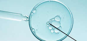 Съдът в Алабама: Замразените ембриони да бъдат считани за деца