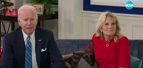 Любимото куче на Байдън вече не живее в Белия дом (ВИДЕО)