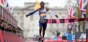 Кения се сбогува с трагично загиналия световен рекордьор Келвин Киптум