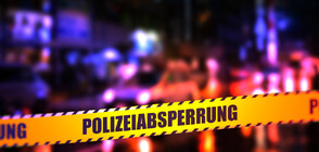 Три жени са били убити с нож в публичен дом във Виена