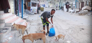 Младо момче в Сомалия се грижи за бездомни животни (ВИДЕО)