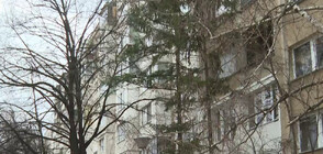 Съмнения за имотна измама: Жена с психично заболяване остана без двете си жилища в София