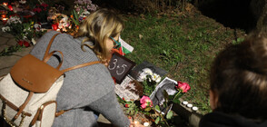 В памет на Навални: Положиха свещи и цветя пред руското посолство в София (СНИМКИ)