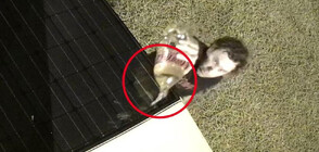 Мъж подпали камера за скорост на пътя (ВИДЕО)