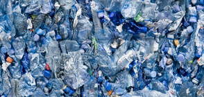ЕС ще забрани пластмасовите опаковки в магазини, ресторанти и хотели