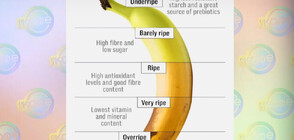 Какво всъщност съдържат бананите и вредни ли са те