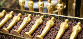 Любопитни детайли за 96-ата церемония за наградите „Оскар“ (ВИДЕО+СНИМКИ)