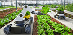 Земеделие и иновации: Фермите на бъдещето (ВИДЕО)