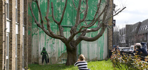 Нов графит на Банкси, свързан с околната среда, се превърна в атракция (СНИМКИ)