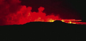 Активизиралият се исландски вулкан продължава да бълва фонтани от лава (ВИДЕО)