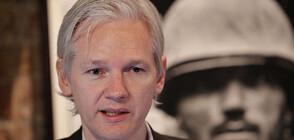 „Уикилийкс”: Джулиан Асандж е на свобода