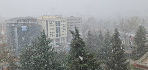 Силен сняг заваля в Анкара (ВИДЕО+СНИМКИ)