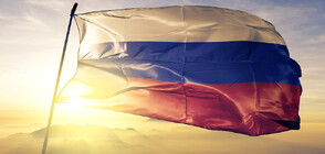 ООН обяви кои са най-големите купувачи на руски торове в света